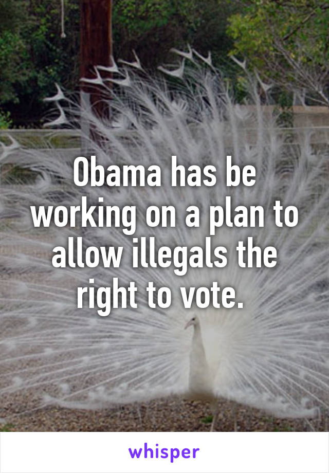 Obama has be working on a plan to allow illegals the right to vote. 