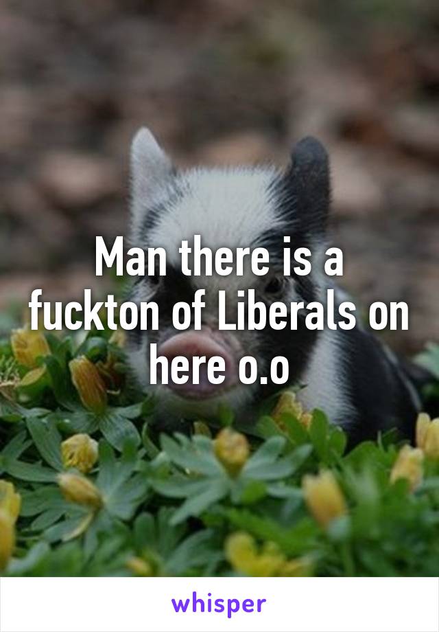 Man there is a fuckton of Liberals on here o.o