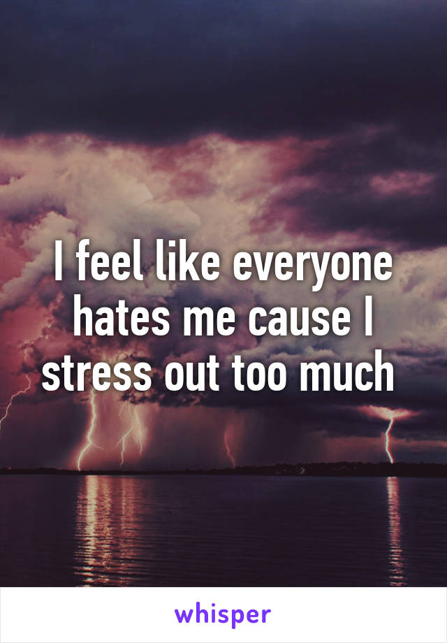 I feel like everyone hates me cause I stress out too much 