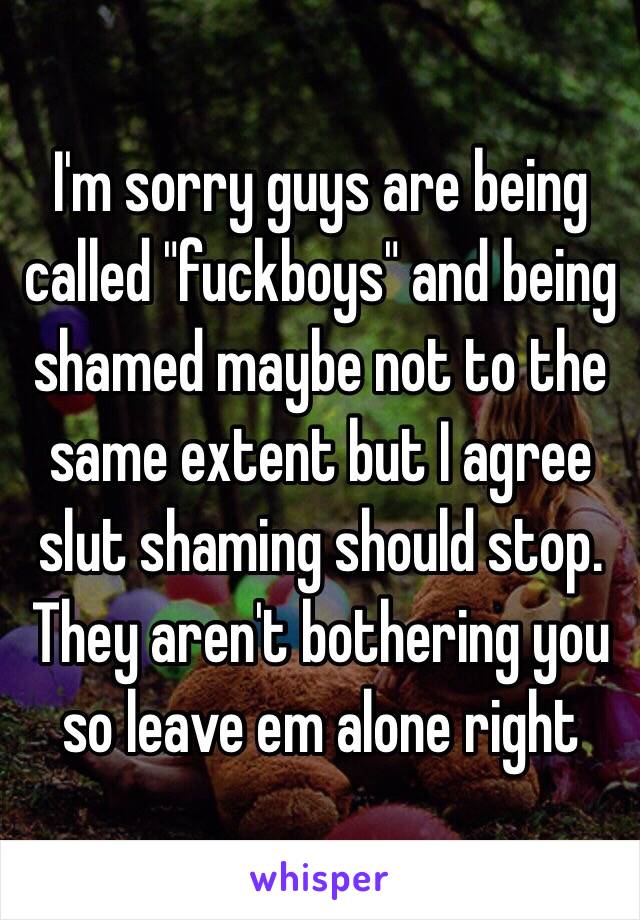 I'm sorry guys are being called "fuckboys" and being shamed maybe not to the same extent but I agree slut shaming should stop. They aren't bothering you so leave em alone right 