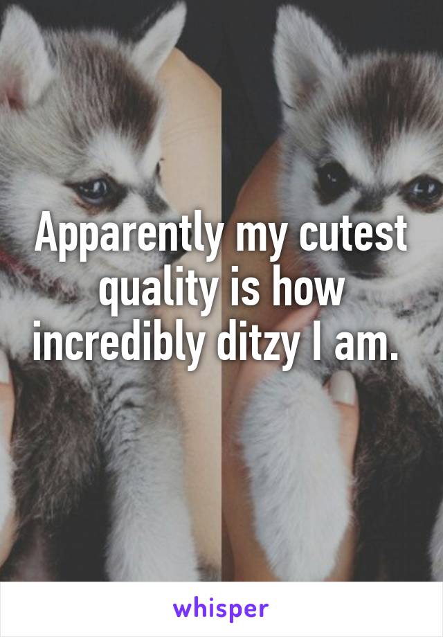 Apparently my cutest quality is how incredibly ditzy I am. 
