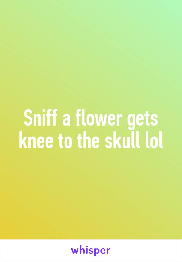 Sniff a flower gets knee to the skull lol