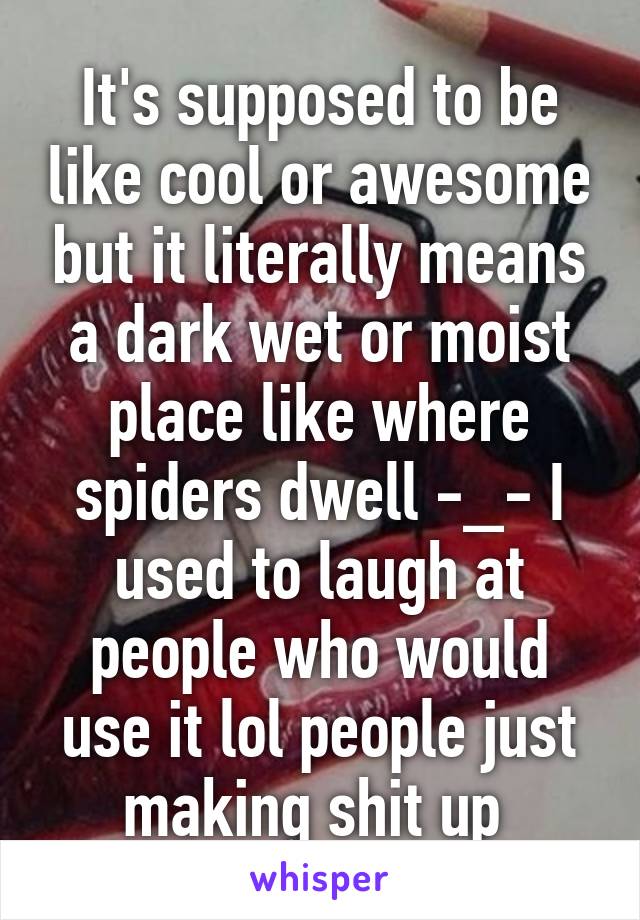 It's supposed to be like cool or awesome but it literally means a dark wet or moist place like where spiders dwell -_- I used to laugh at people who would use it lol people just making shit up 