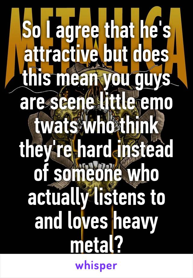 So I agree that he's attractive but does this mean you guys are scene little emo twats who think they're hard instead of someone who actually listens to and loves heavy metal?