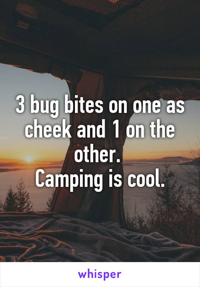 3 bug bites on one as cheek and 1 on the other. 
Camping is cool.