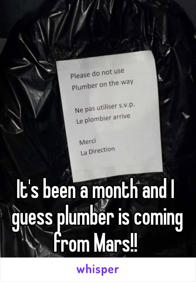 It's been a month and I guess plumber is coming from Mars!! 