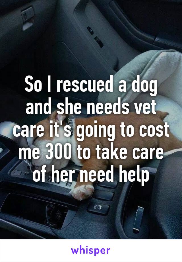 So I rescued a dog and she needs vet care it's going to cost me 300 to take care of her need help