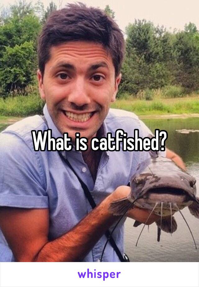 What is catfished?