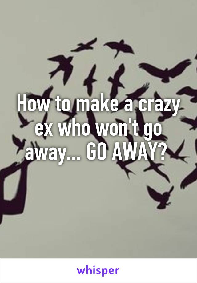 How to make a crazy ex who won't go away... GO AWAY? 
