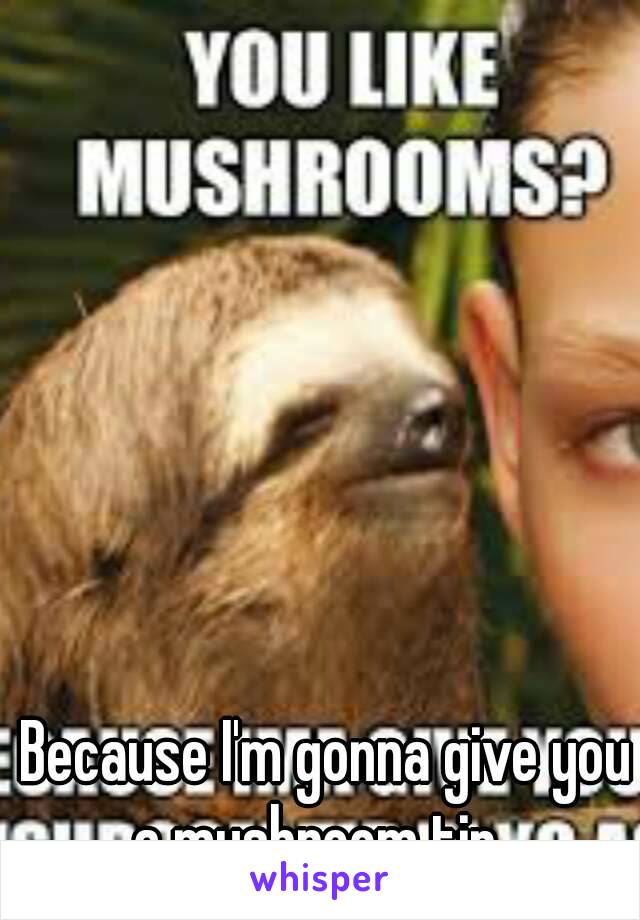 Because I'm gonna give you a mushroom tip...