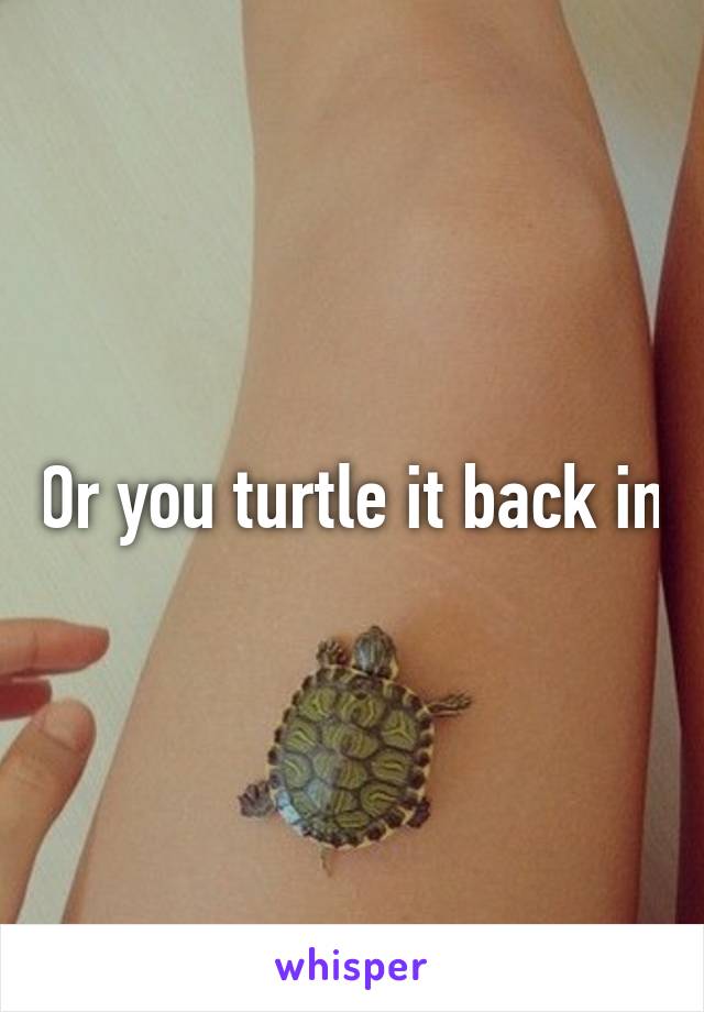 Or you turtle it back in