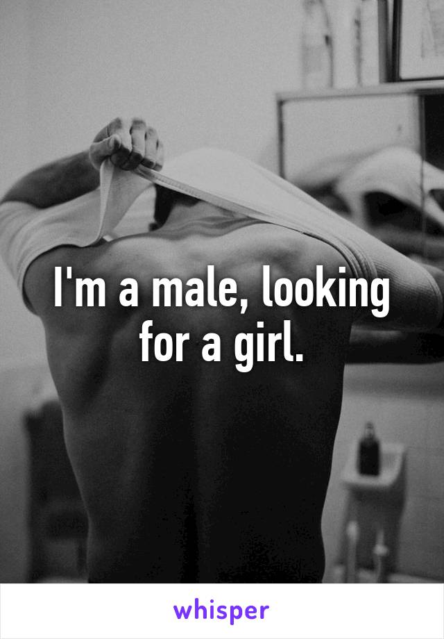 I'm a male, looking for a girl.