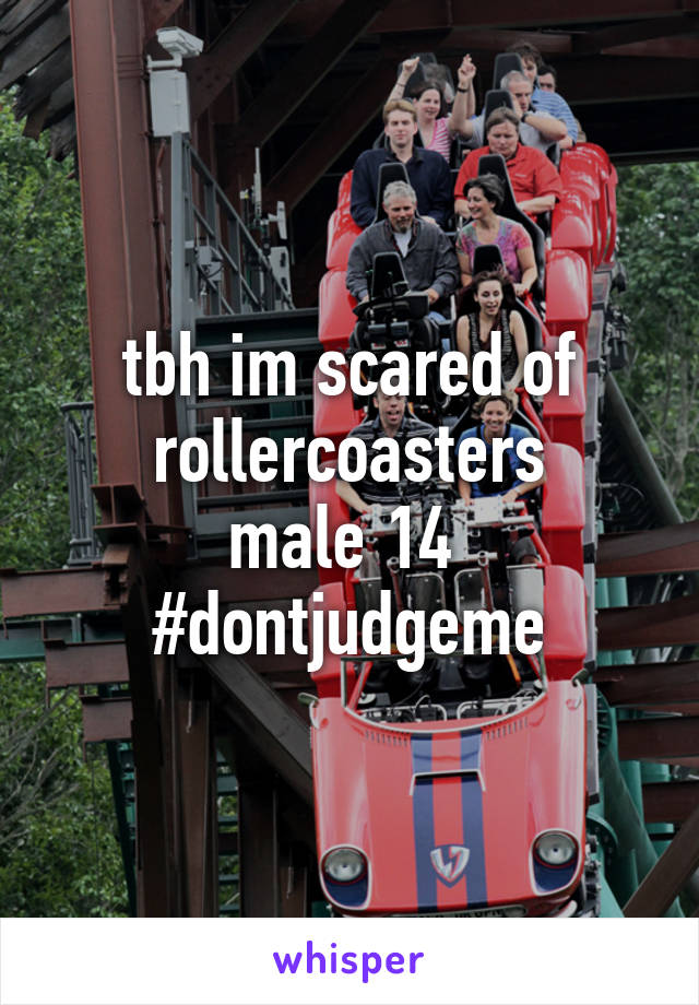 tbh im scared of rollercoasters
male 14 
#dontjudgeme