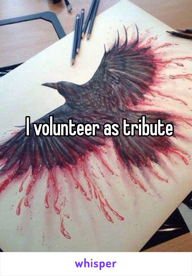 I volunteer as tribute