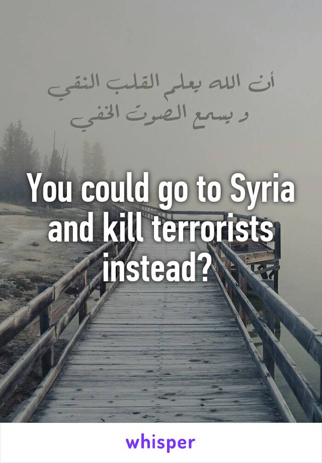 You could go to Syria and kill terrorists instead? 