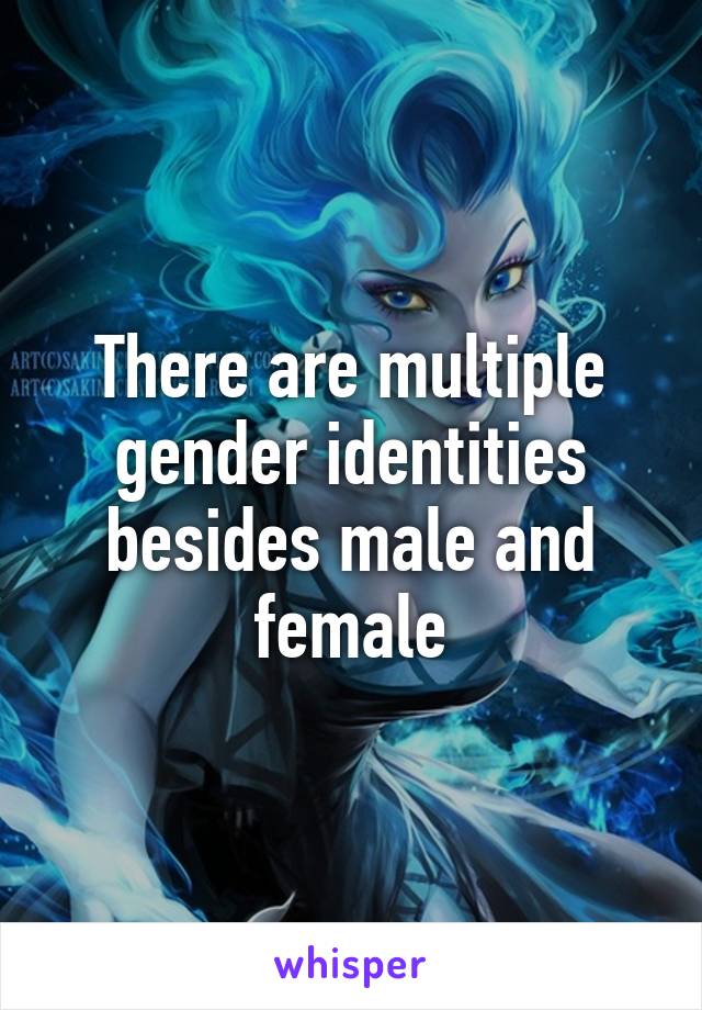 There are multiple gender identities besides male and female