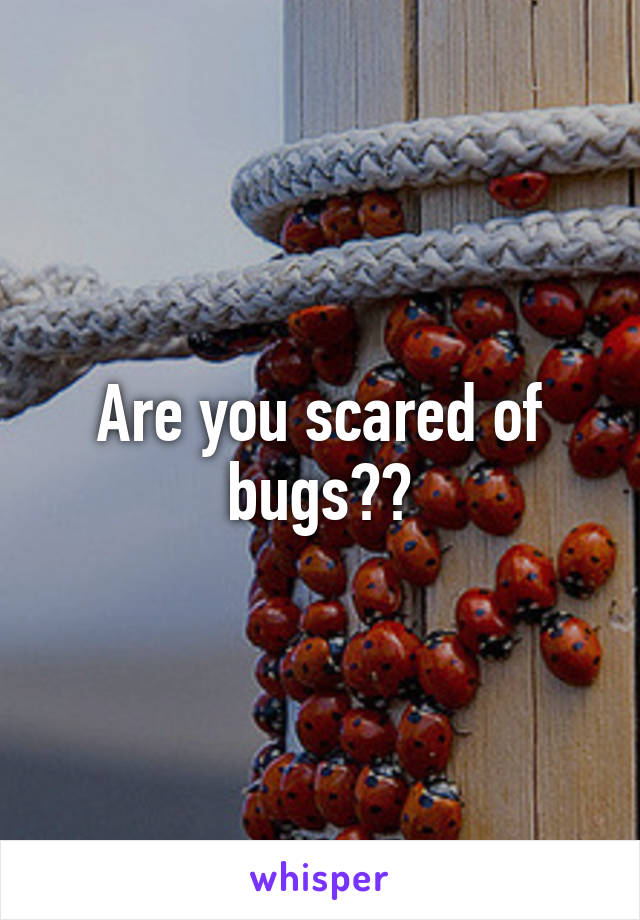 Are you scared of bugs??