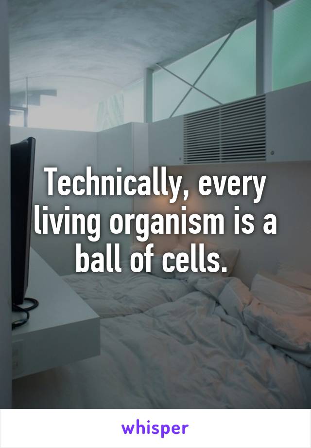 Technically, every living organism is a ball of cells. 