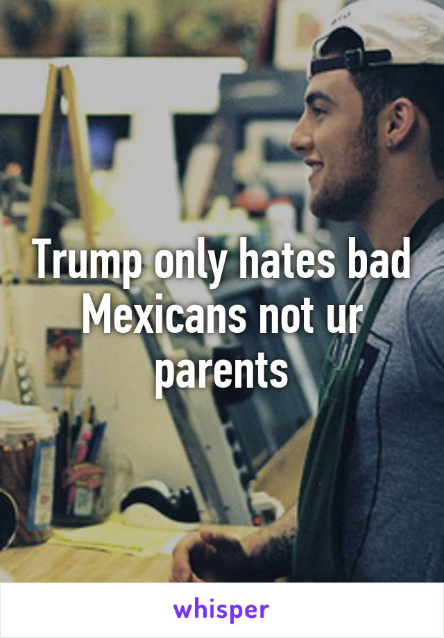 Trump only hates bad Mexicans not ur parents