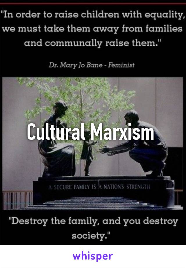 Cultural Marxism 