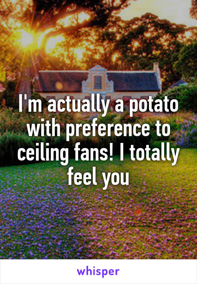 I'm actually a potato with preference to ceiling fans! I totally feel you