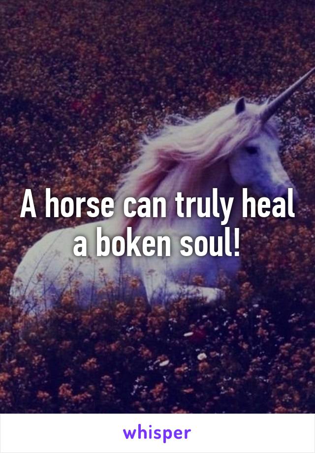 A horse can truly heal a boken soul!