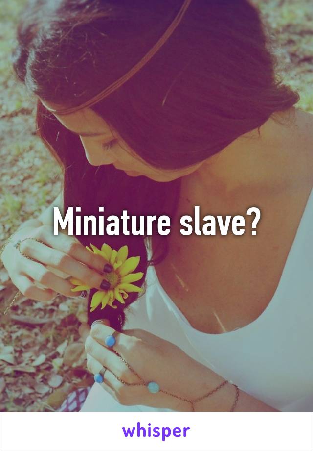 Miniature slave?