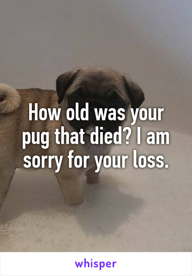 How old was your pug that died? I am sorry for your loss.