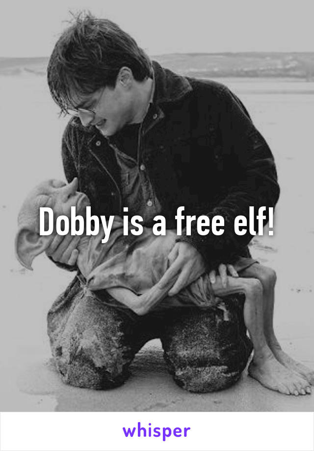 Dobby is a free elf!