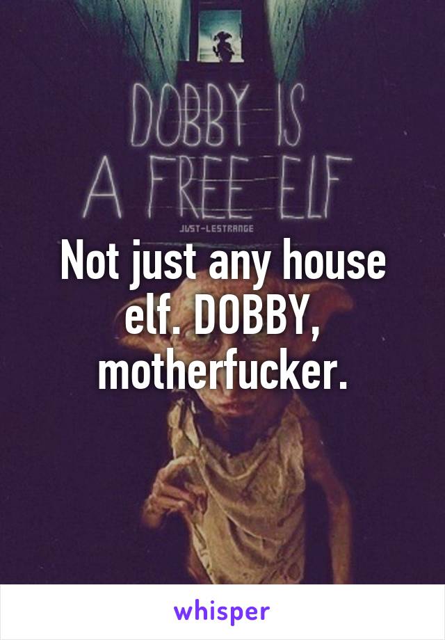 Not just any house elf. DOBBY, motherfucker.