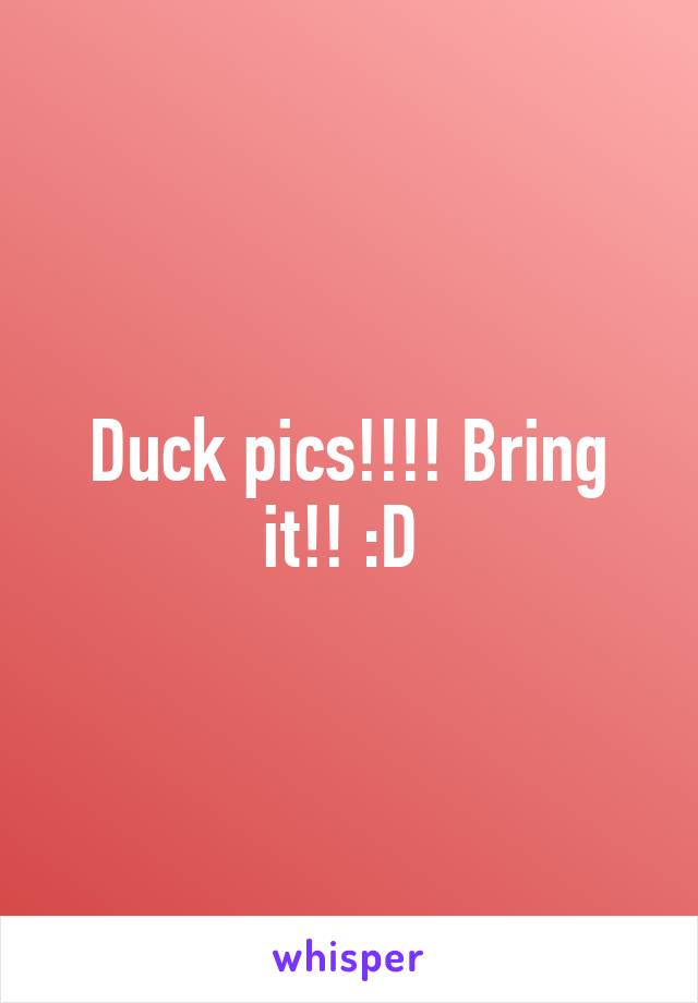 Duck pics!!!! Bring it!! :D 
