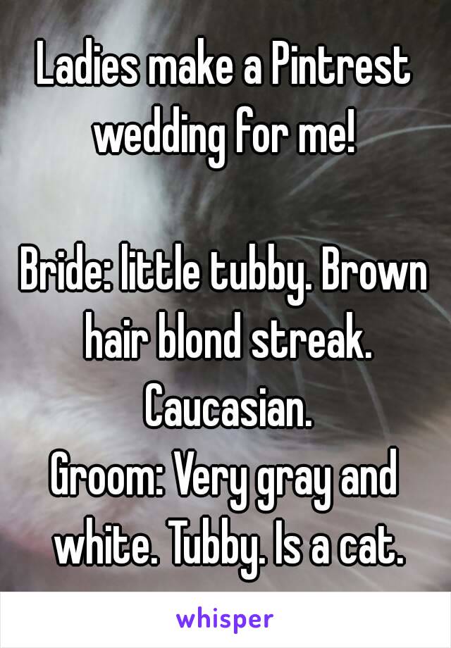 Ladies make a Pintrest wedding for me! 

Bride: little tubby. Brown hair blond streak. Caucasian.
Groom: Very gray and white. Tubby. Is a cat.