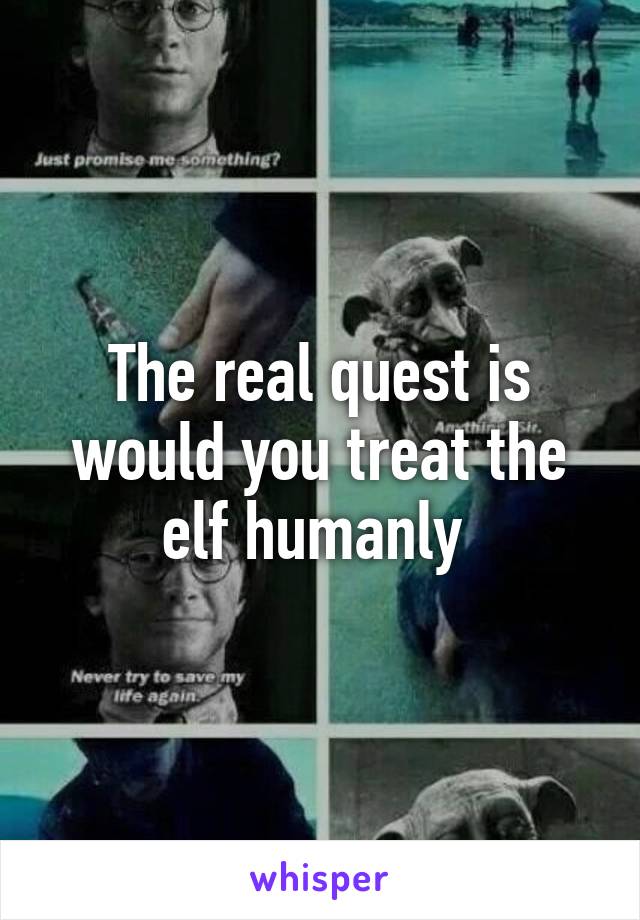 The real quest is would you treat the elf humanly 