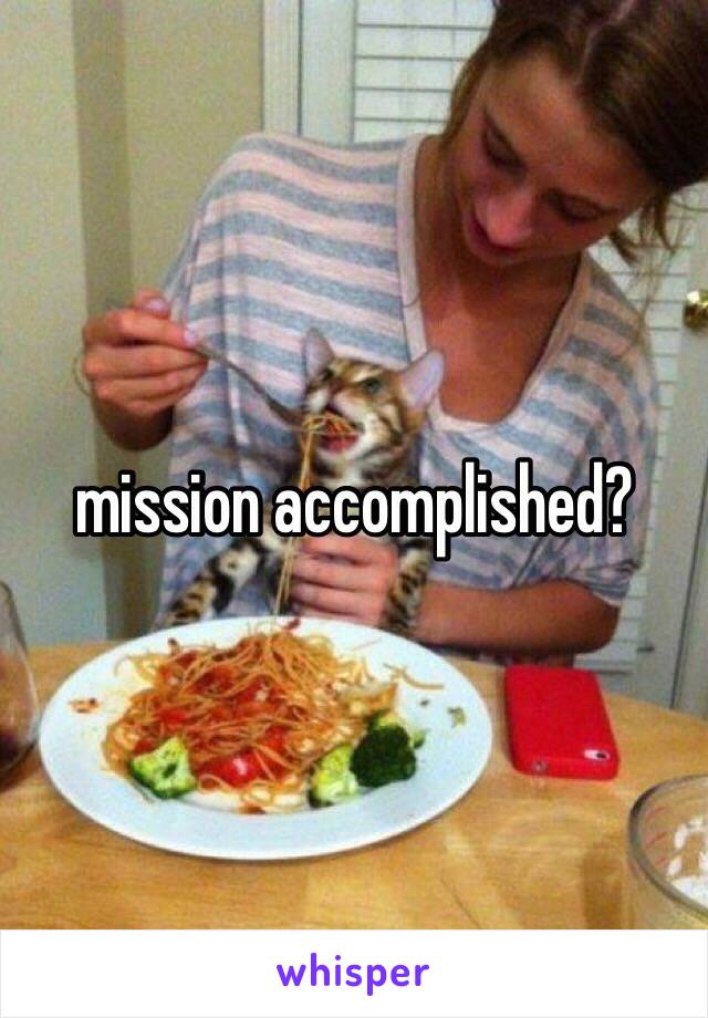 mission accomplished?