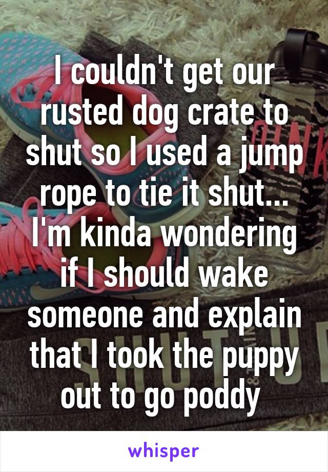 I couldn't get our rusted dog crate to shut so I used a jump rope to tie it shut... I'm kinda wondering if I should wake someone and explain that I took the puppy out to go poddy 