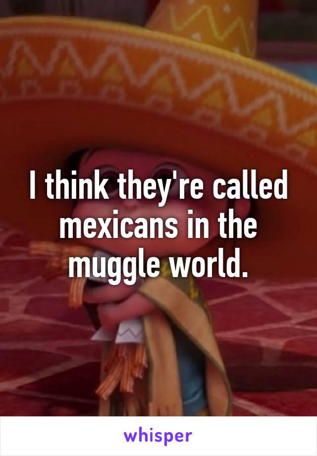 I think they're called mexicans in the muggle world.