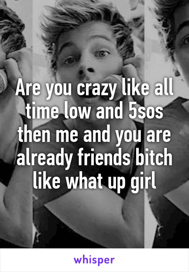 Are you crazy like all time low and 5sos then me and you are already friends bitch like what up girl