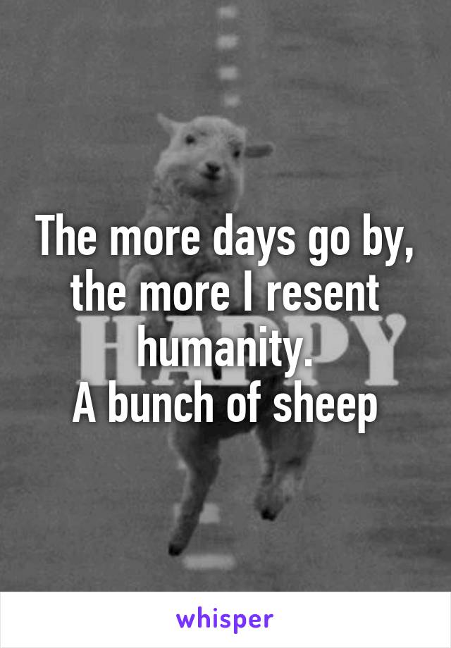 The more days go by, the more I resent humanity.
A bunch of sheep