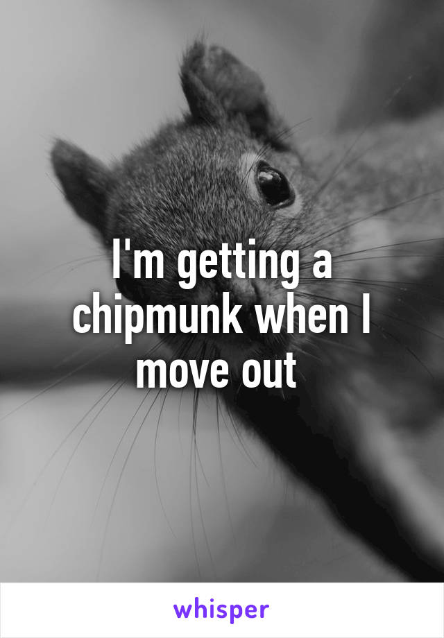 I'm getting a chipmunk when I move out 