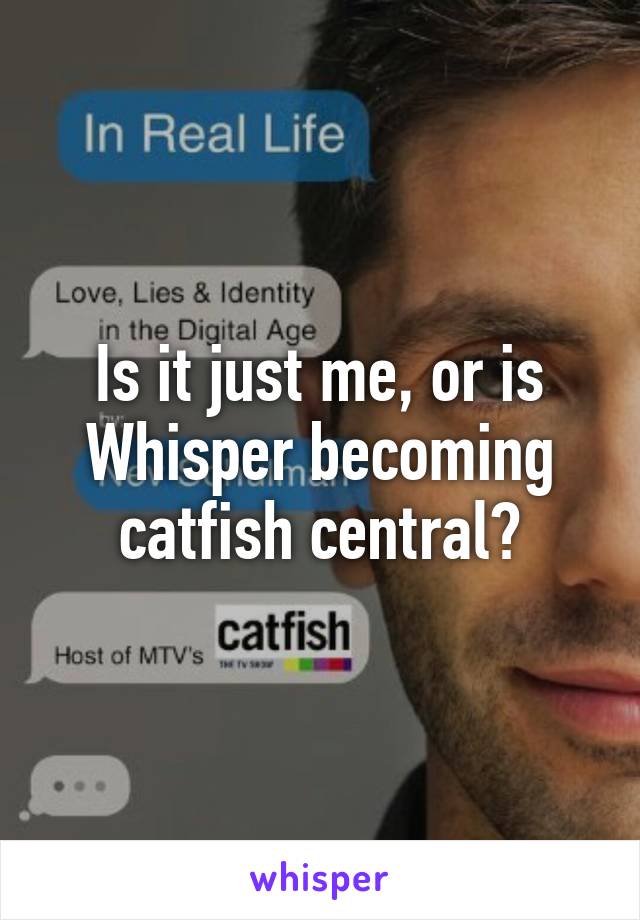 Is it just me, or is Whisper becoming catfish central?