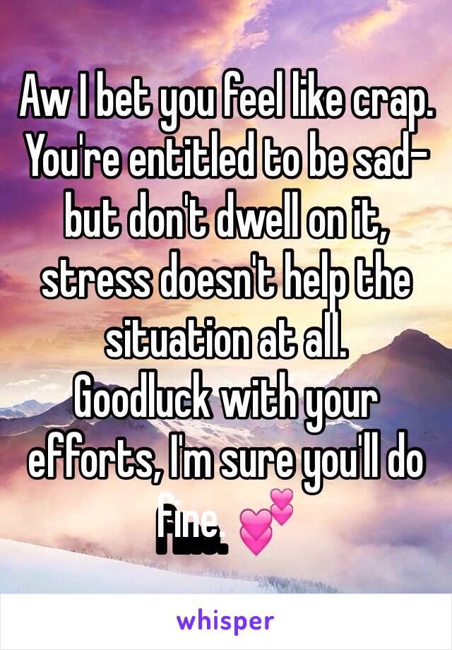 Aw I bet you feel like crap. You're entitled to be sad- but don't dwell on it, stress doesn't help the situation at all.
Goodluck with your efforts, I'm sure you'll do fine. 💕