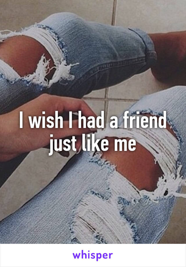 I wish I had a friend just like me