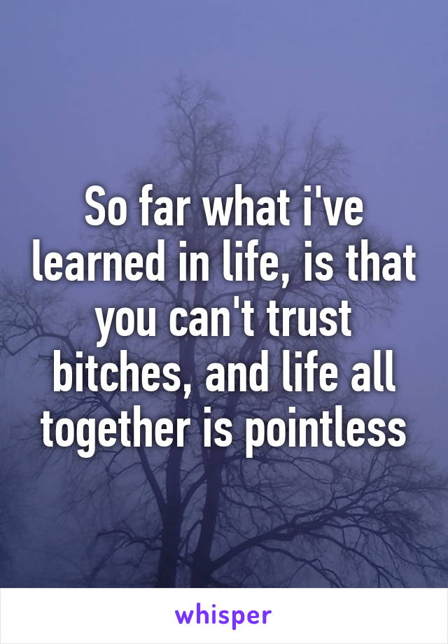 So far what i've learned in life, is that you can't trust bitches, and life all together is pointless