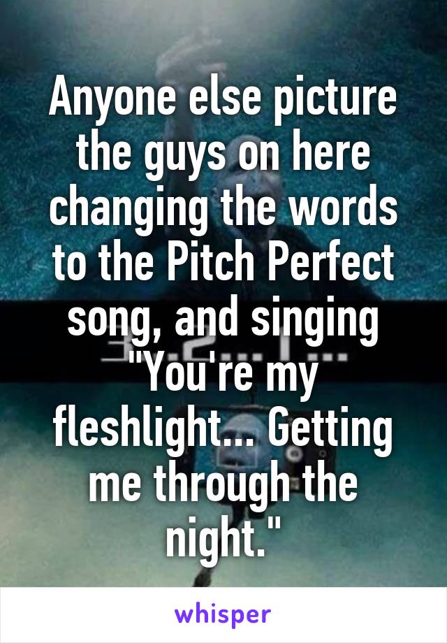 Anyone else picture the guys on here changing the words to the Pitch Perfect song, and singing "You're my fleshlight... Getting me through the night."