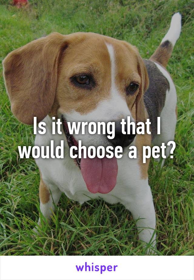 Is it wrong that I would choose a pet?