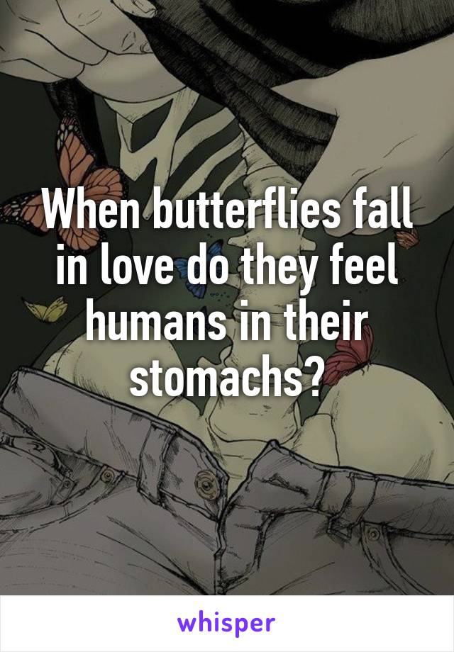 When butterflies fall in love do they feel humans in their stomachs?
