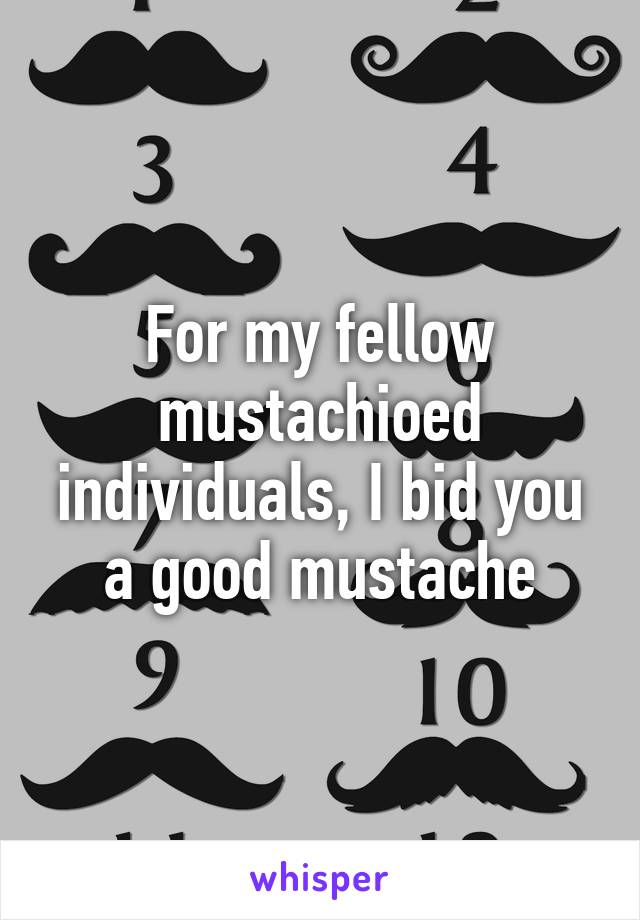 For my fellow mustachioed individuals, I bid you a good mustache