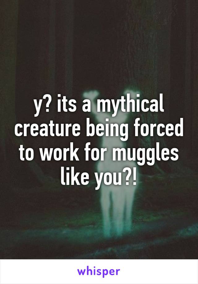 y? its a mythical creature being forced to work for muggles like you?!