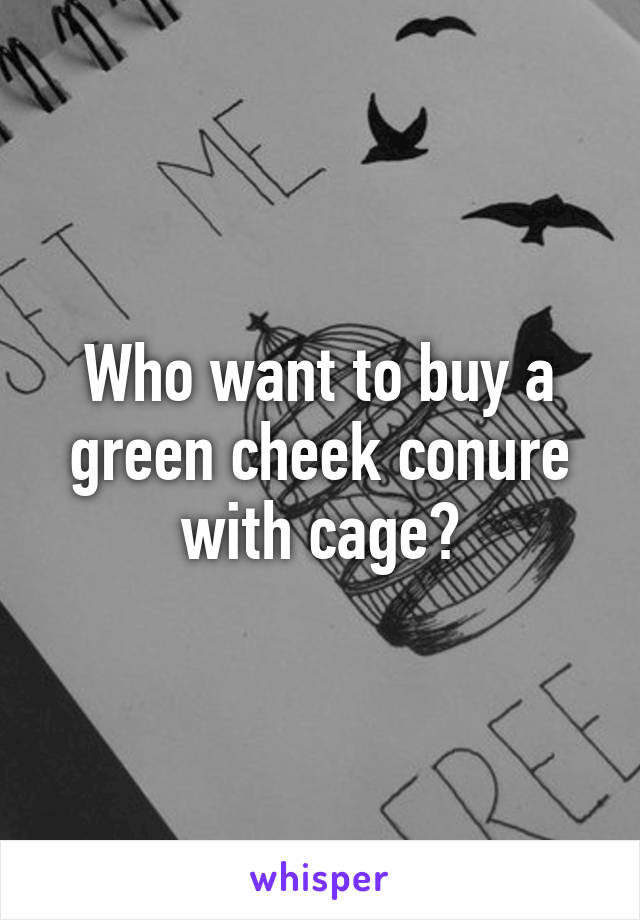 Who want to buy a green cheek conure with cage?