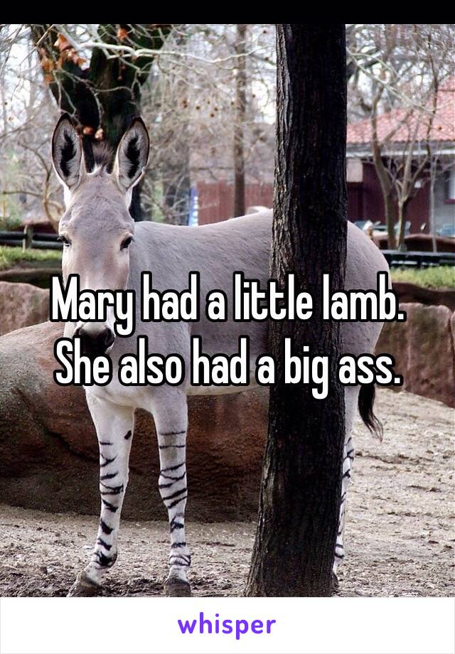 Mary had a little lamb. 
She also had a big ass. 